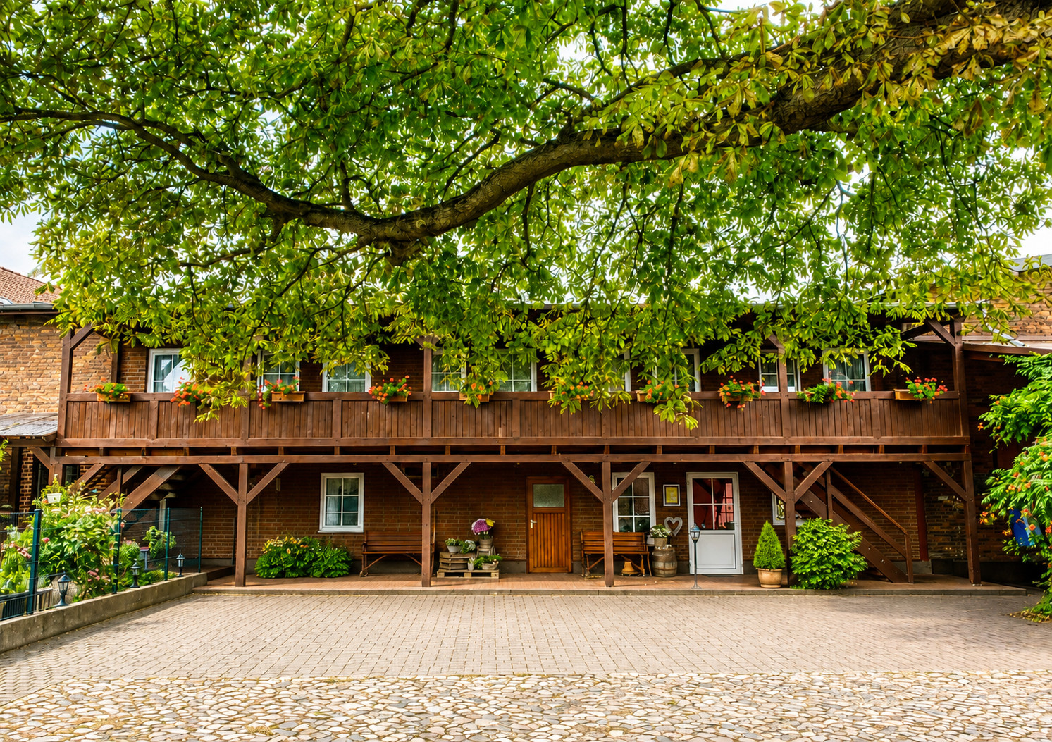 Hofansicht der Pension Ritters Hof mit Kastanienbaum