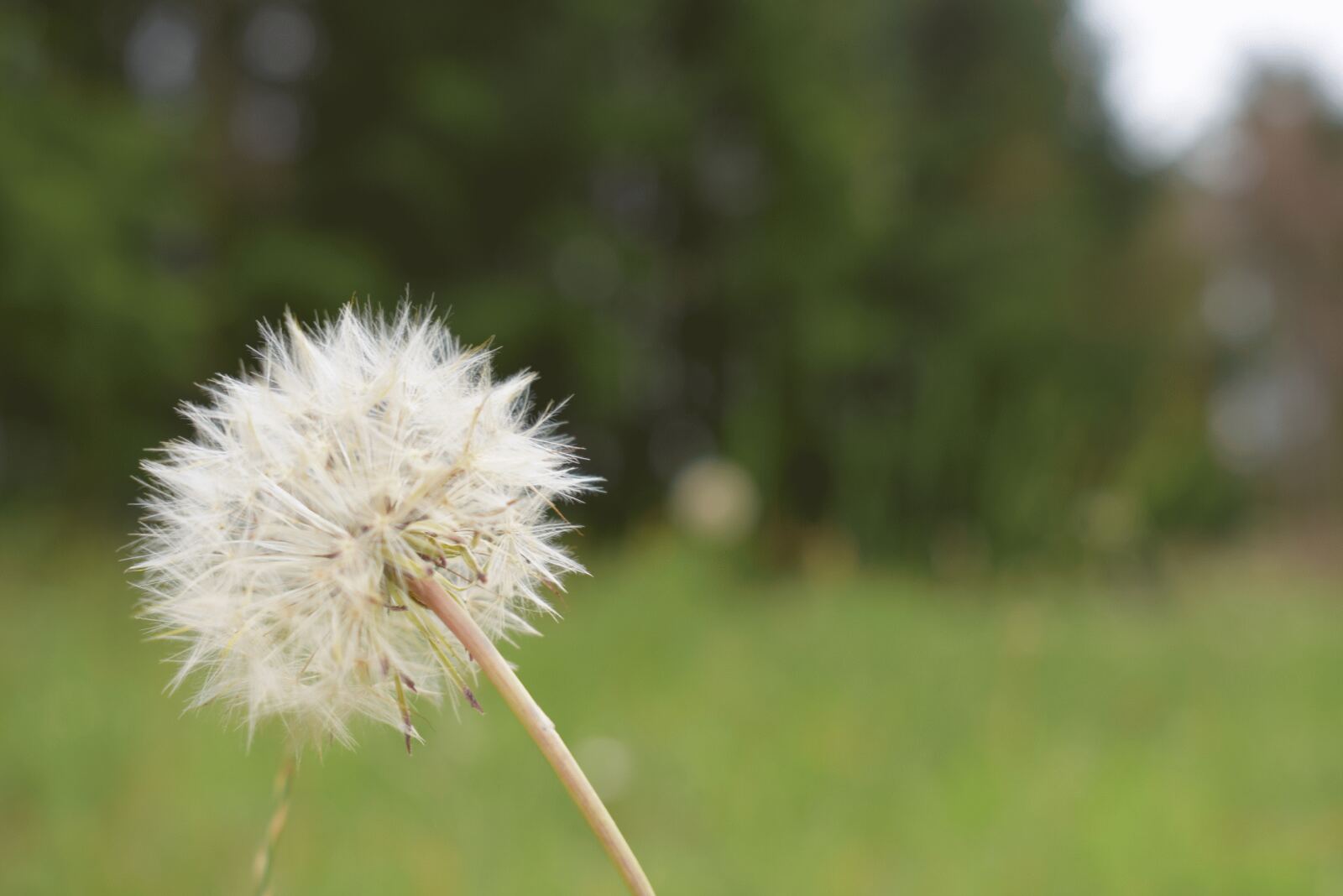 Impression der Pension Ritters Hof